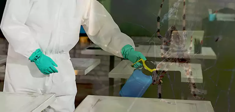 Why Buyers Still Want Homes With Pest Infestations in Oklahoma, OK?