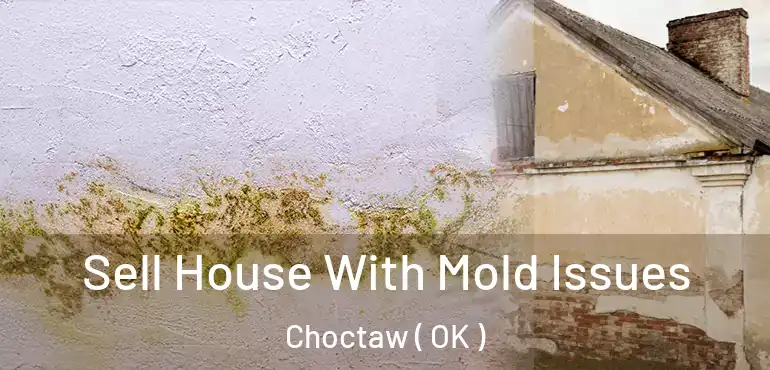  Sell House With Mold Issues Choctaw ( OK )