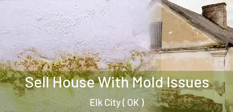  Sell House With Mold Issues Elk City ( OK )