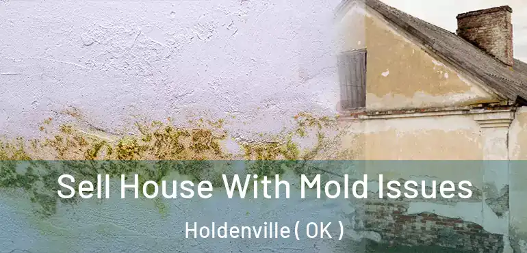 Sell House With Mold Issues Holdenville ( OK )