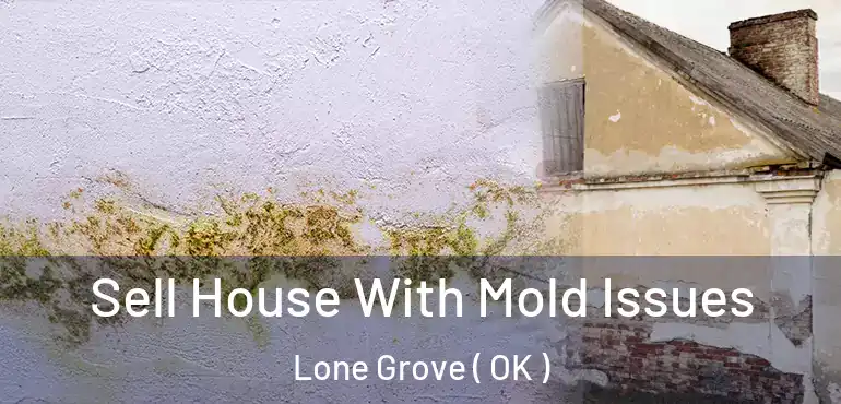  Sell House With Mold Issues Lone Grove ( OK )