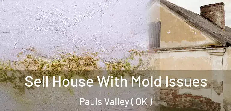  Sell House With Mold Issues Pauls Valley ( OK )