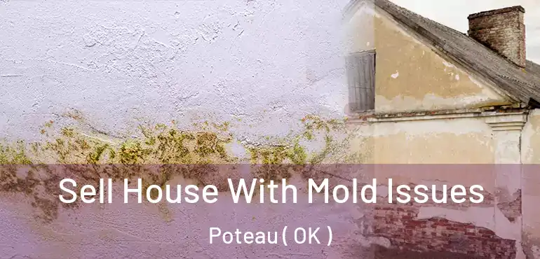  Sell House With Mold Issues Poteau ( OK )