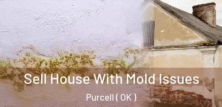  Sell House With Mold Issues Purcell ( OK )
